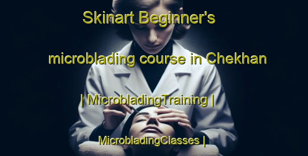 Skinart Beginner's microblading course in Chekhan | MicrobladingTraining | MicrobladingClasses | SkinartTraining-Russian Federation